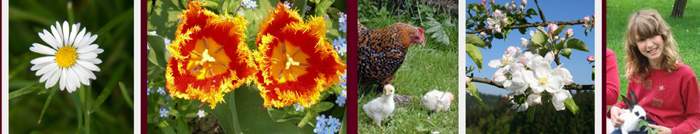 Ferien im Fr�hling - Ostern